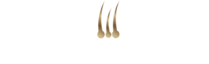 Laserpassion Logo