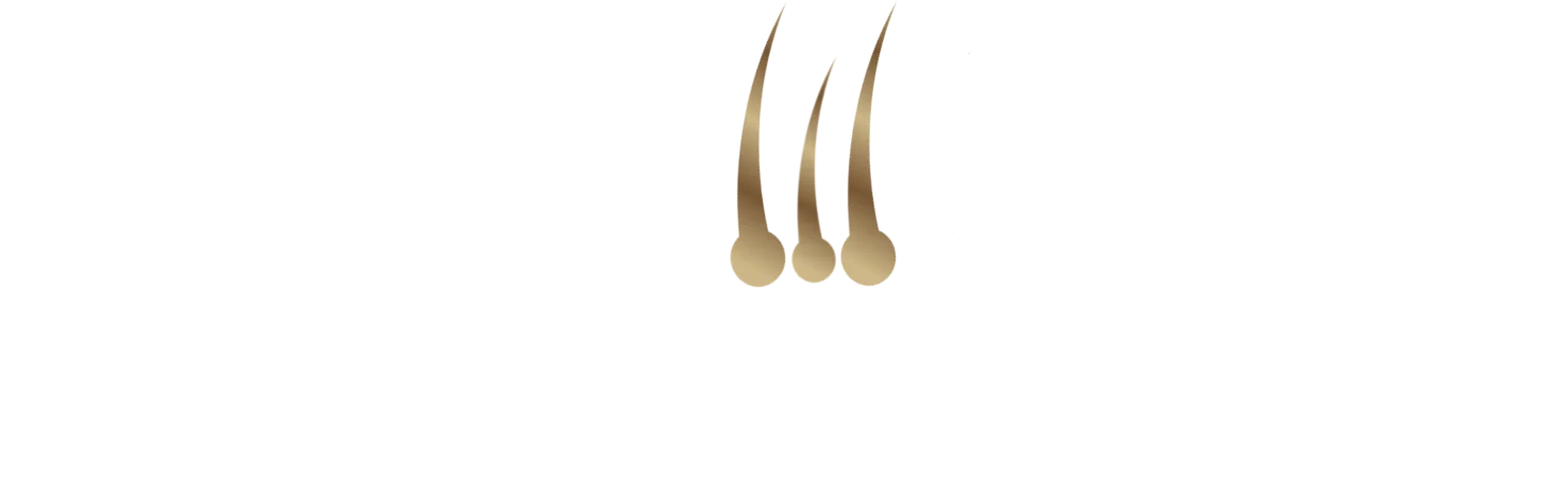 logo main
